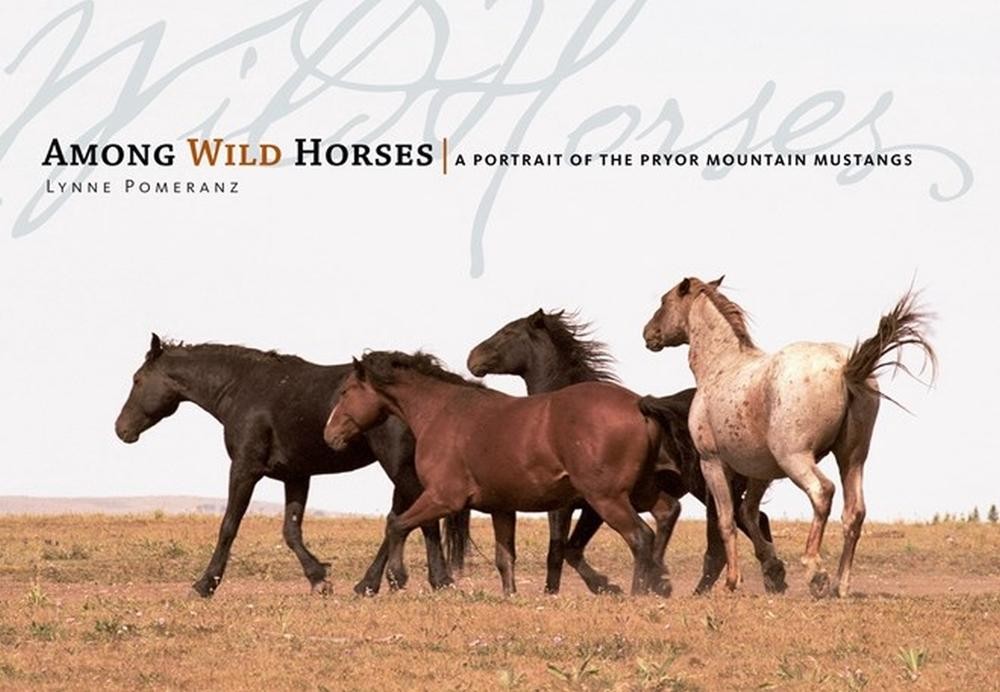 Among Wild Horses: A Portrait of the Pryor Mountain Mustangs by Lynne Pomeranz (