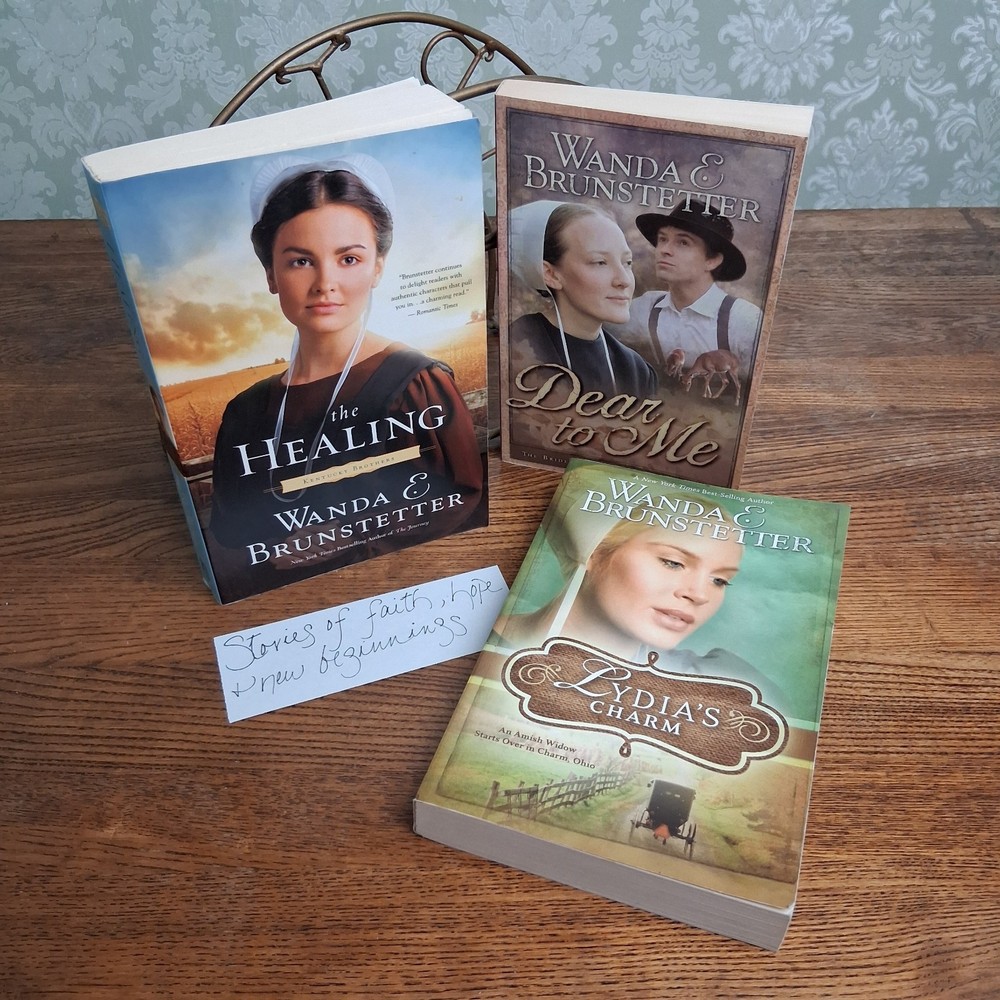 Wanda Brunstetter Amish Fiction 3 Book Lot Christian Romance Set