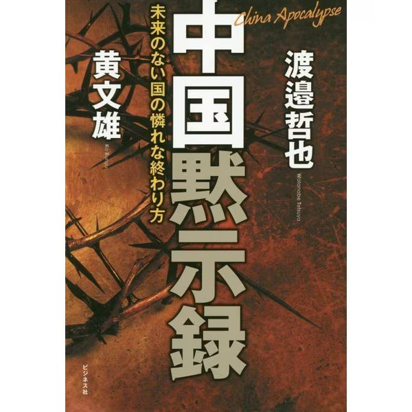 Chinese Apocalypse 2024 No Future Tankobon China Japan