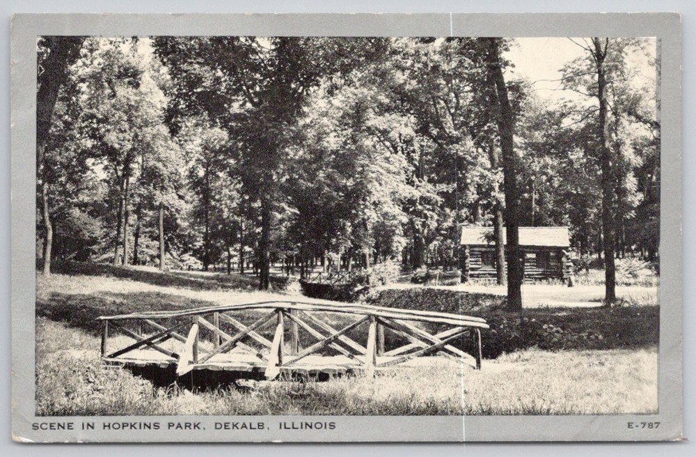 Vintage Hopkins Park DeKalb Illinois Wooden Bridge Cabin Postcard 1943