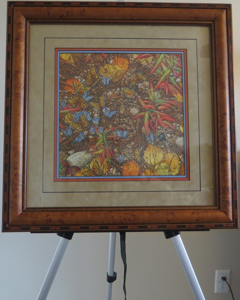 BEV DOOLITTLE New Magic Framed Art with COA & Book 13331/50000