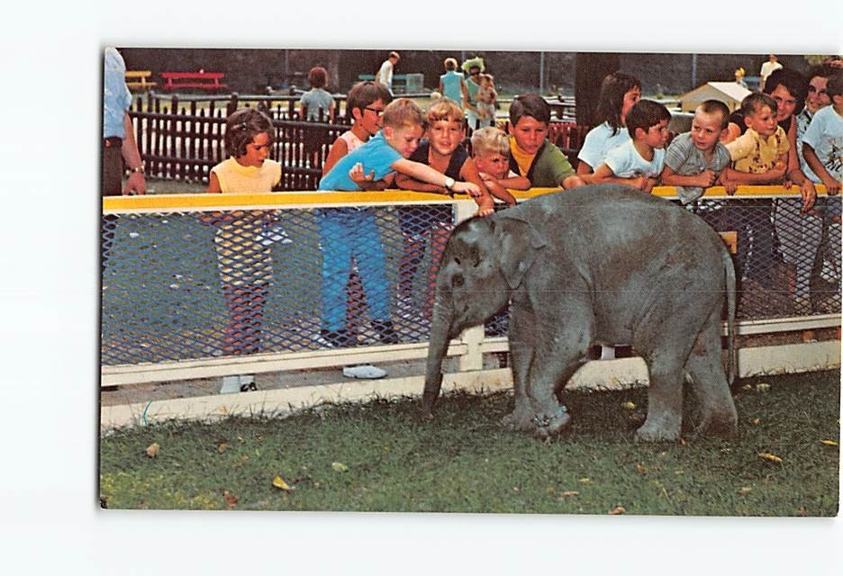 Postcard Children Baby Elephant Chicago Zoological Park Brookfield Zoo Illinois