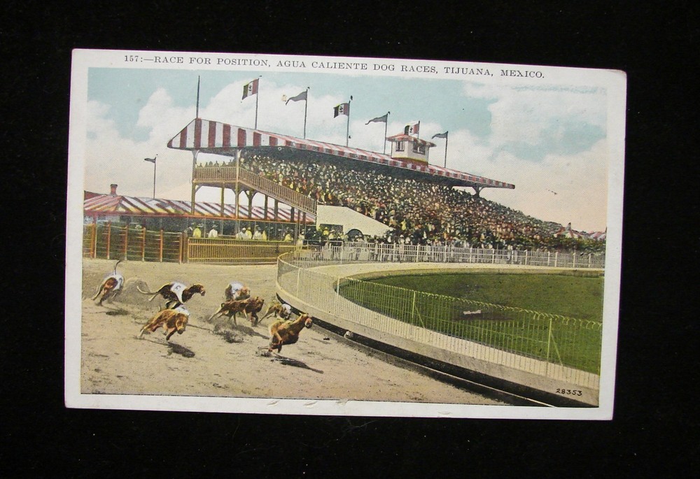 Vintage Postcard 