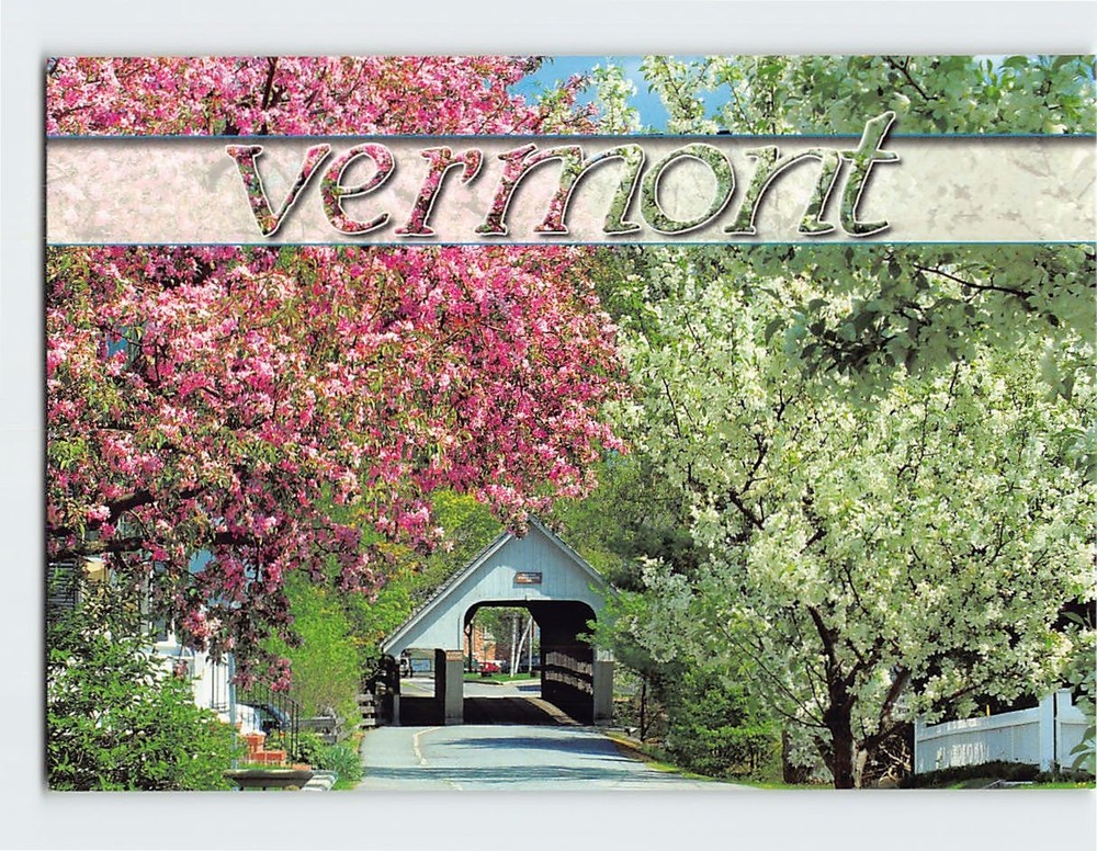 Postcard Middle Bridge Woodstock Vermont USA
