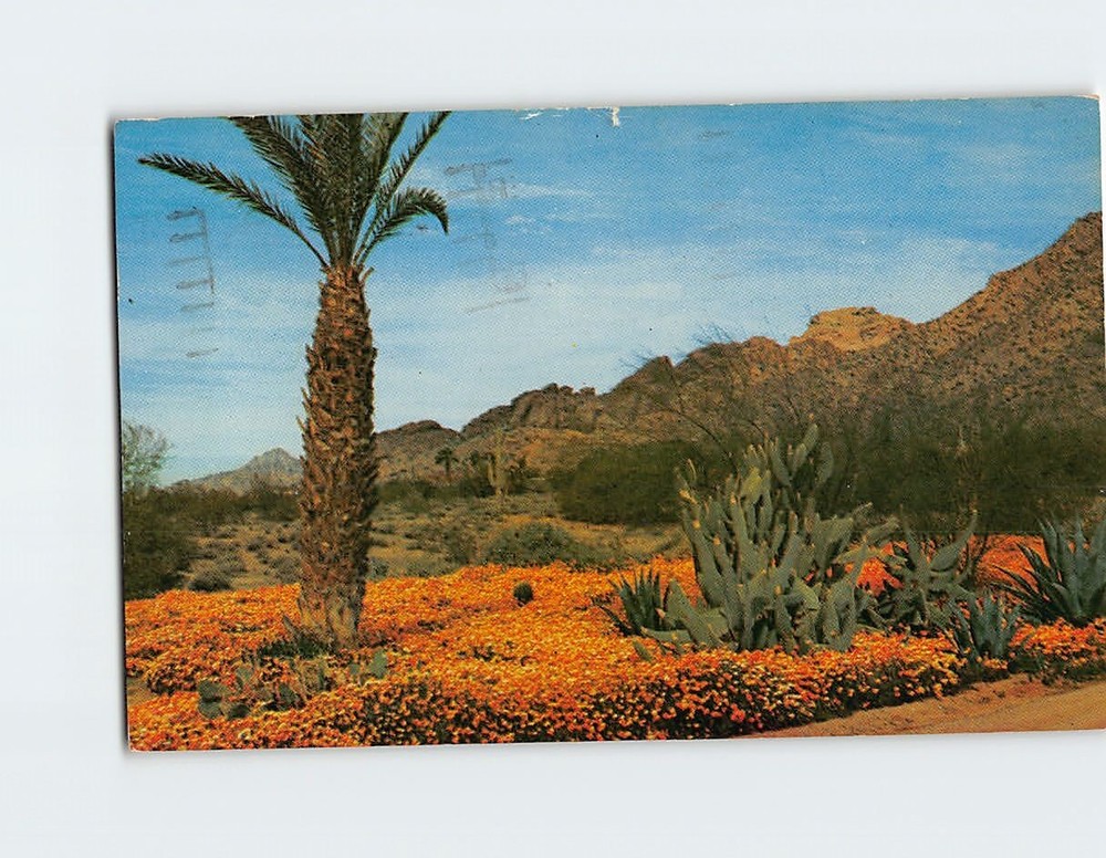 Postcard Valley of the Sun Arizona winter scene in Desert