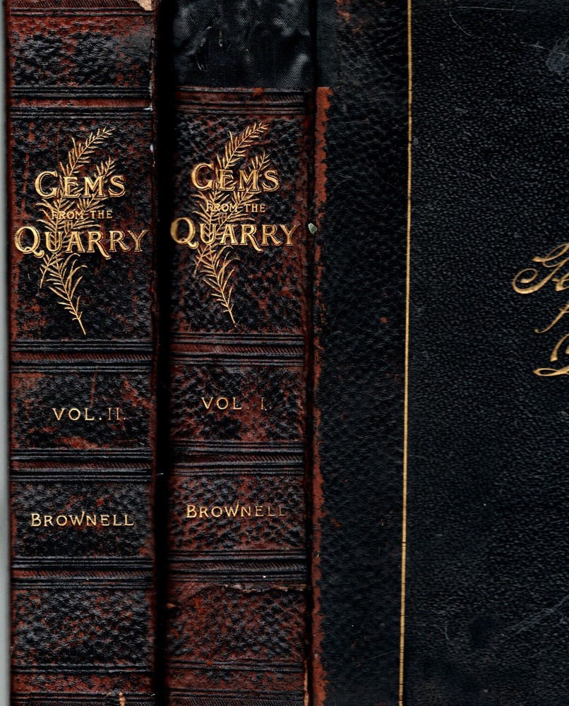 Very Rare 2 Volumes Leather 1893 Freemasonry 100 Portraits Occult Illustrated