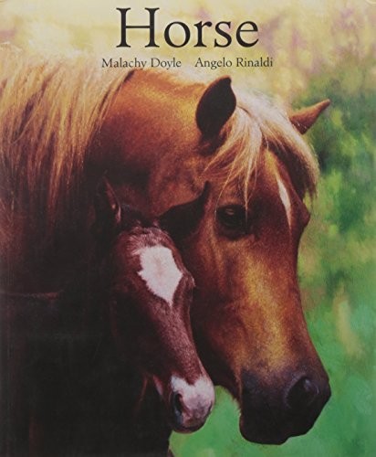 Horse by Doyle, Malachy Paperback Book The Fast Free ShippingFREE US DELIVERY | ISBN: 1416911030 | Quality Books