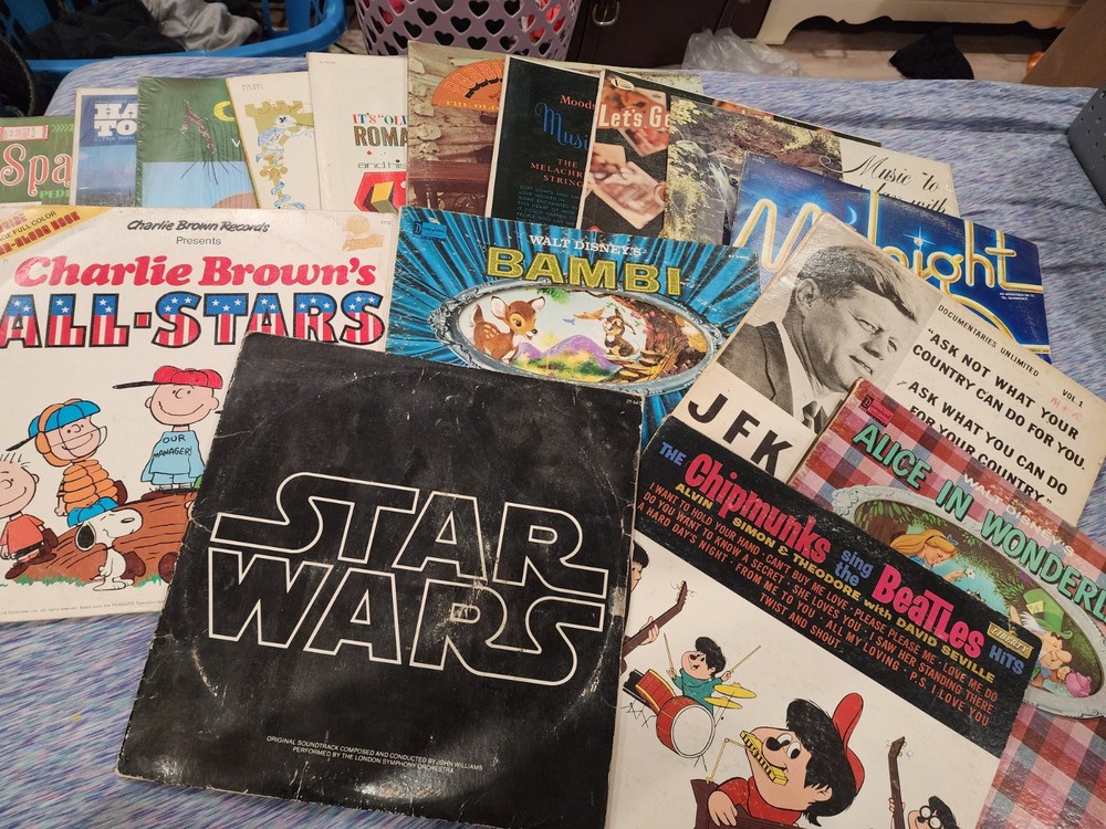 Vinyl Records Lot