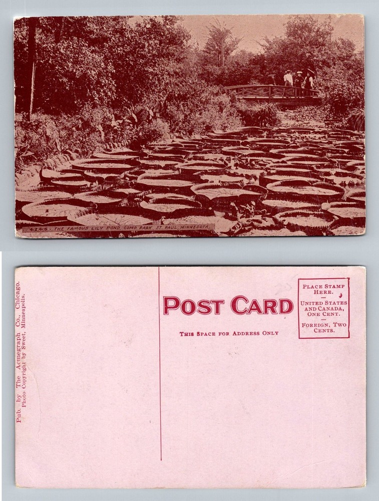 St Paul, MN-Minnesota, Famous Lily Pond Como Park Footbridge Vintage Postcard