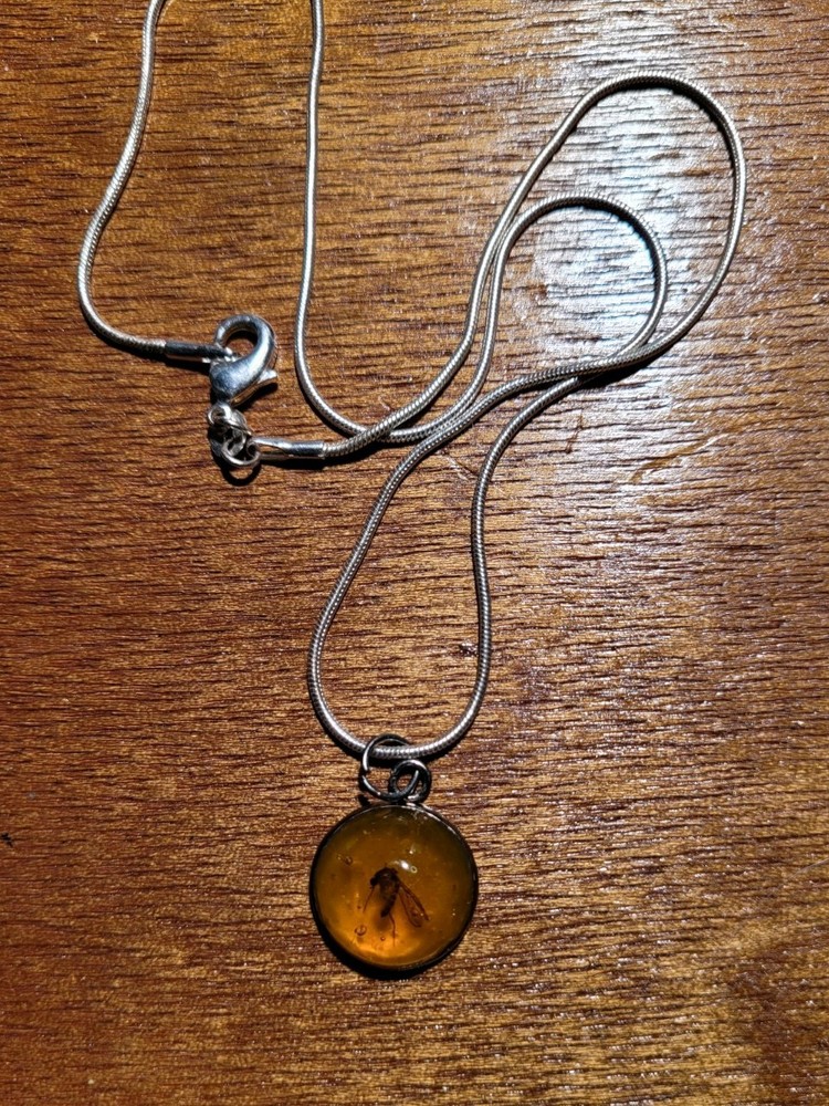 REAL MOSQUITO in Amber Colored Resin  Necklace Pendant With Chain Jurassic Park