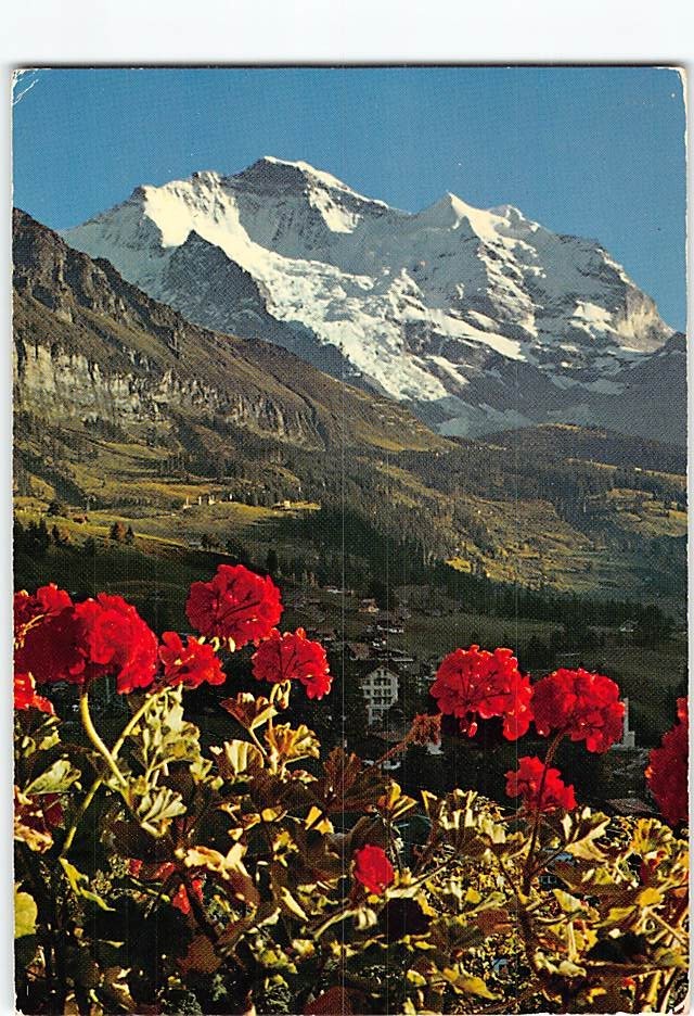 Postcard Scenic View of Jungfrau Switzerland
