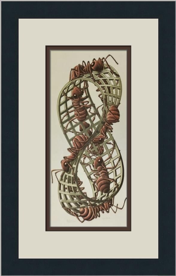 M.C. Escher Moebius II Custom Framed Print