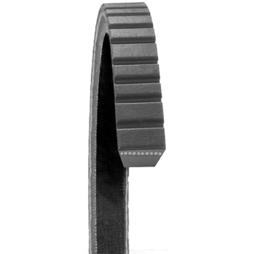 Dayco 17365 Accessory Drive Belt