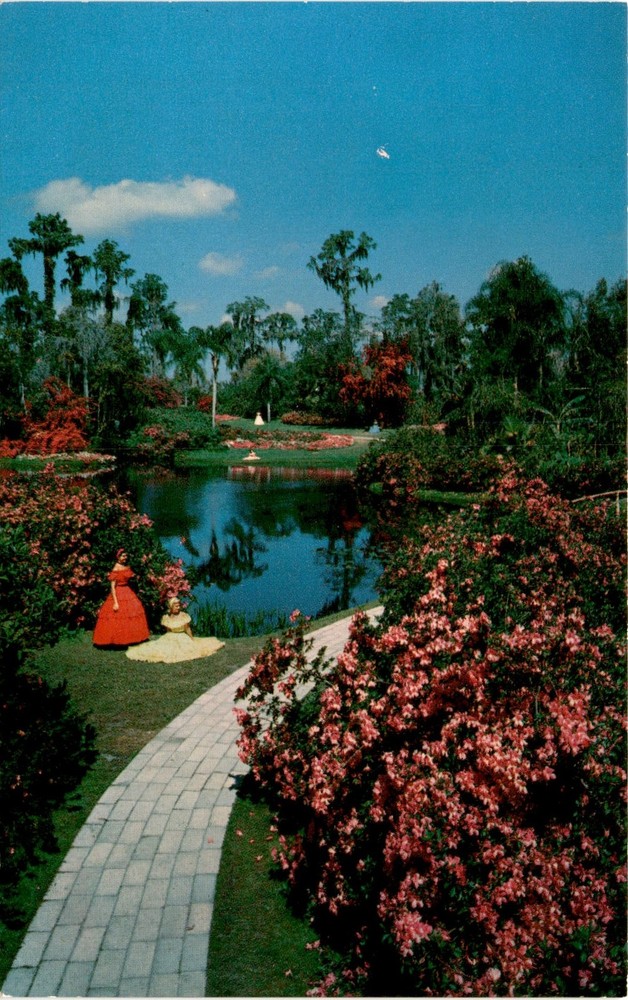 Cypress Gardens, Florida, Color Photograph by H. W. Hannau, Natural Postcard