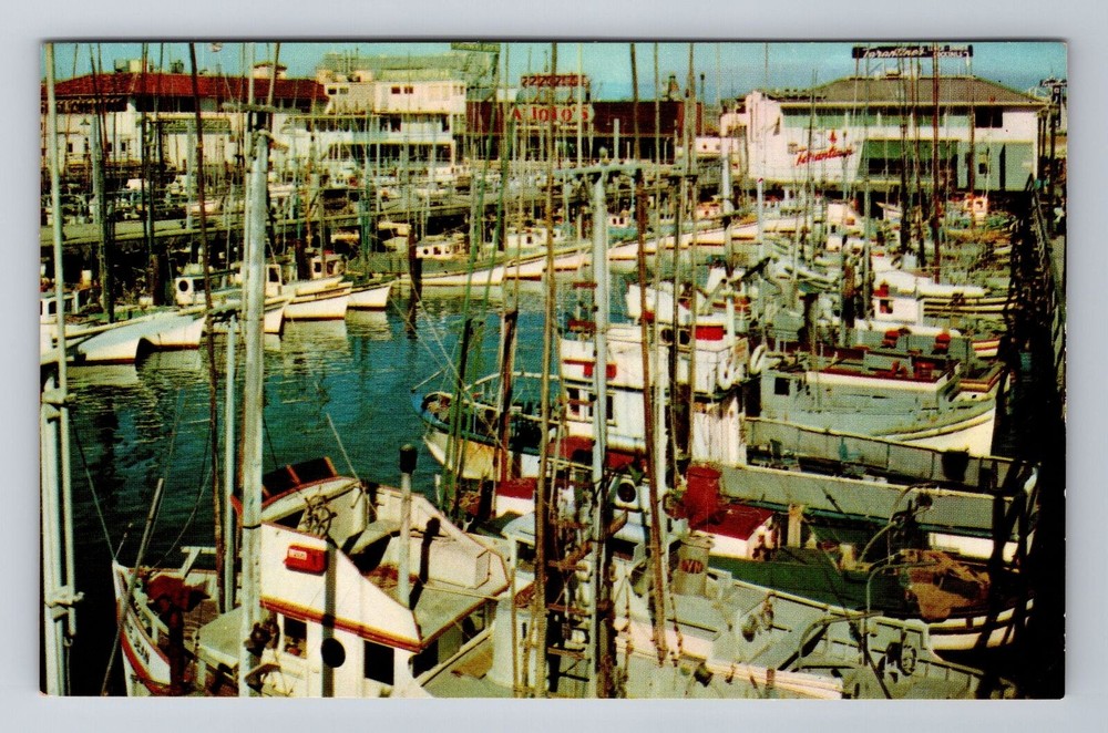 San Francisco CA-California, Fishing Fleet, Antique Vintage Souvenir Postcard
