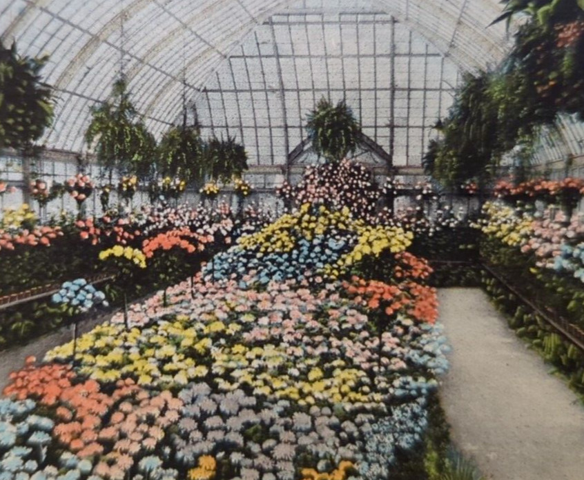Interior Of Conservatory Prospect Park Brooklyn New York NY Antique Postcard