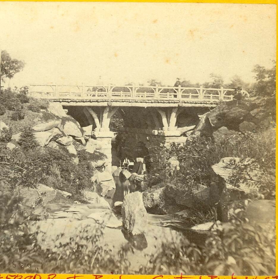 B7025~ NEW YORK - 1860’s Rustic Bridge Central Park Stereoview E&HT Anthony, NY