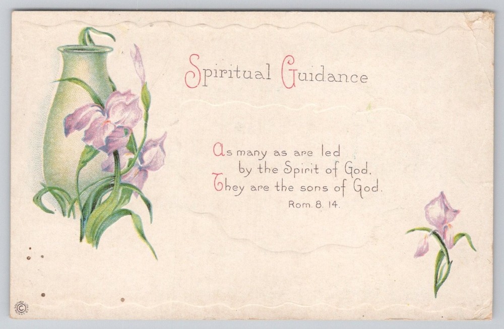 Spiritual Guidance Iris Flower Postcard Epsom NH 1908 Postmarked