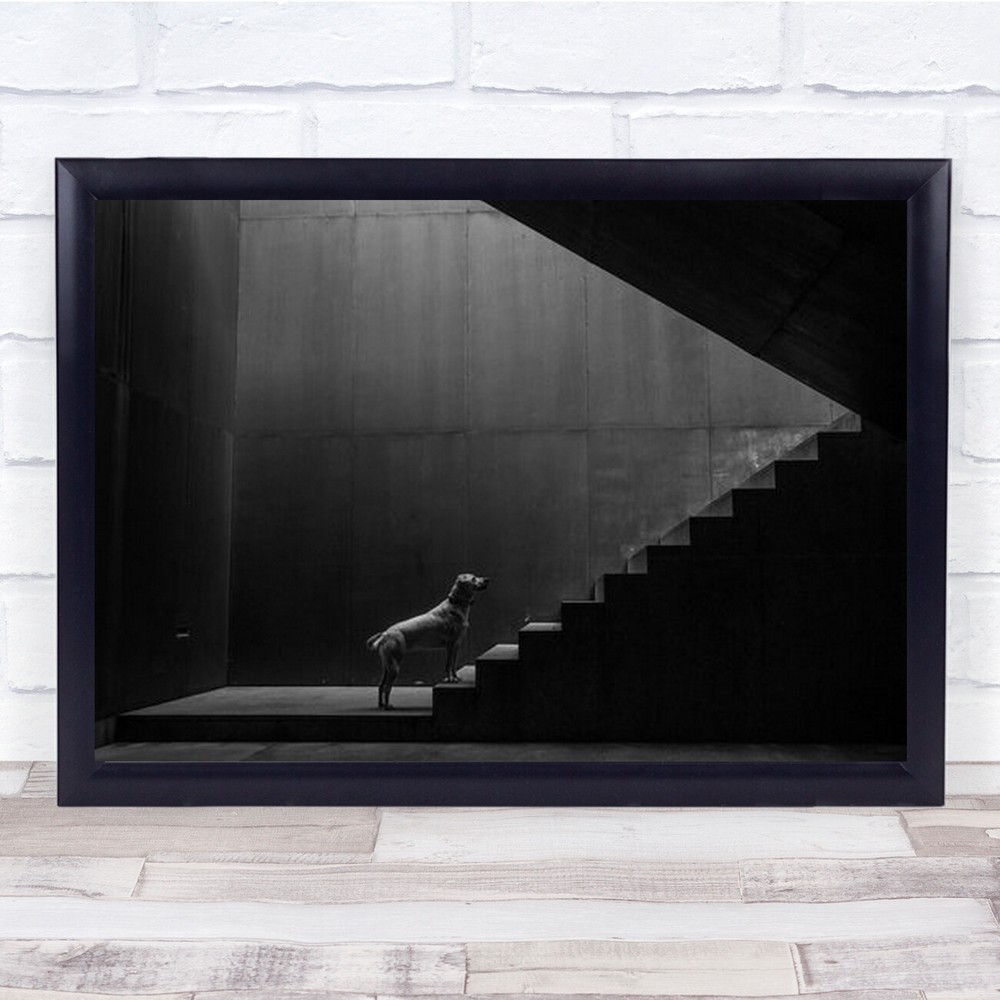 Dreamy Dog on Stairs Wall Art Print - Pet Animal Decor