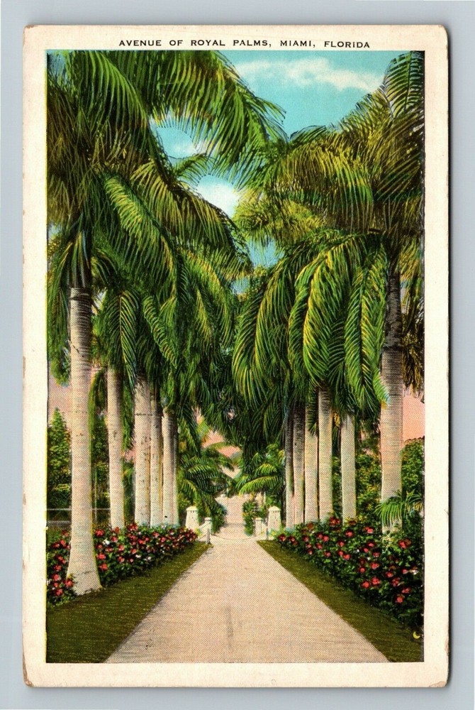 Miami FL-Florida, Avenue Of Royal Palms Vintage Souvenir Postcard