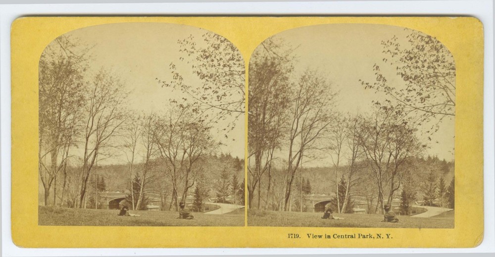 D1355~ NEW YORK – Central Park & Lake Stereoview, Kilburn