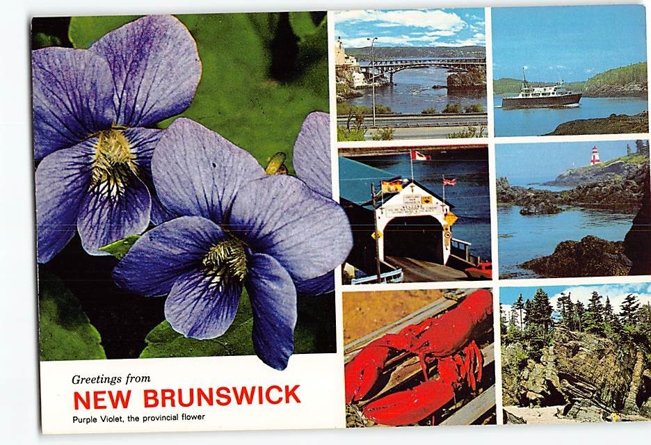 Postcard Scenes & Views Greetings from New Brunswick Canada
