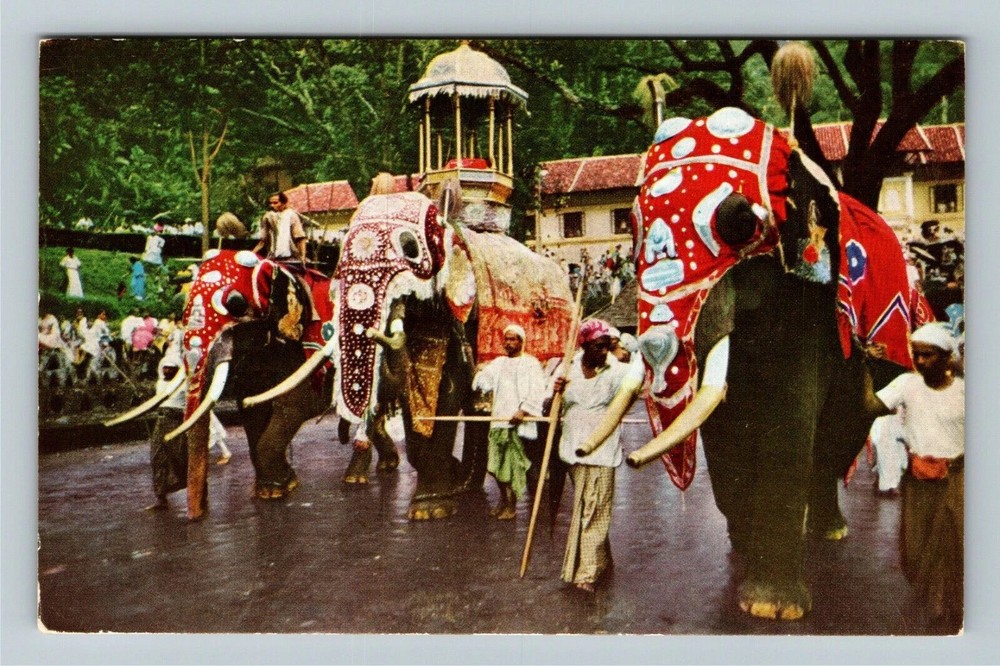 Ceylon-Sri Lanka, Kandy Perahera, Festival the Tooth, Vintage Postcard