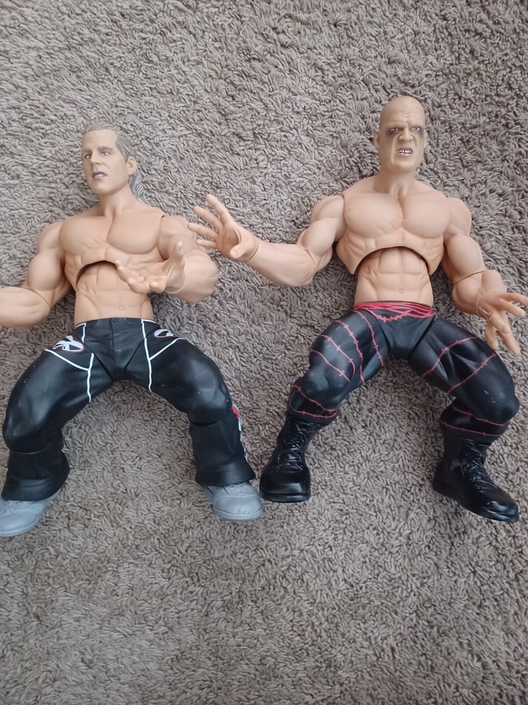 WWE wrestling Figures