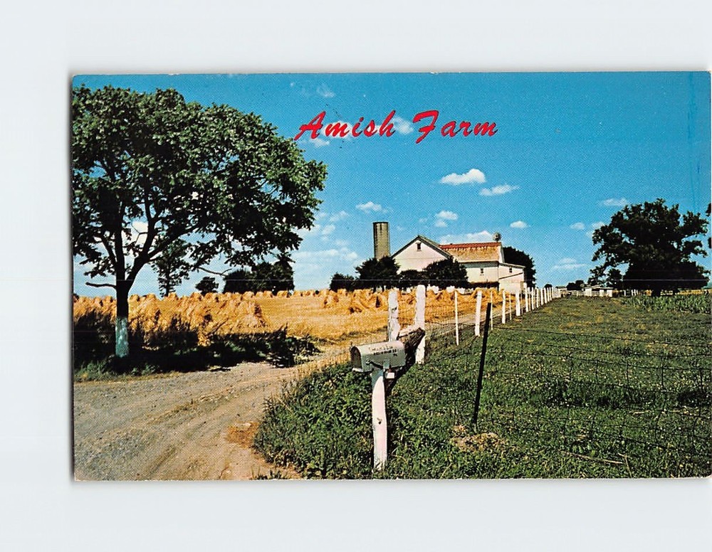 Postcard Farm Greetings from the Amish Country Pennsylvania USA North America