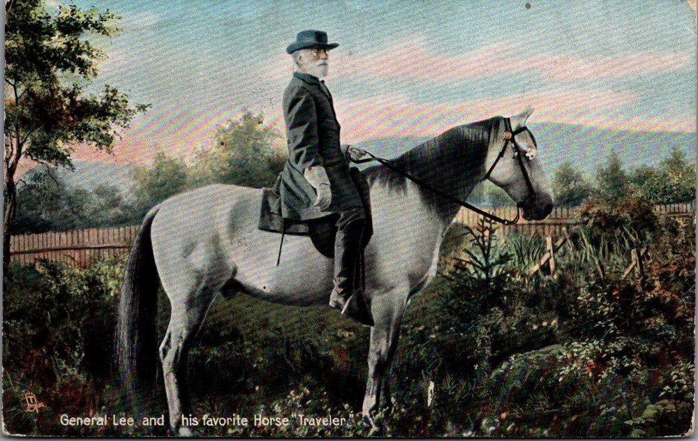 Gen. Robert E. Lee & Horse Traveler Tuck's Postcard 1908 Richmond VA
