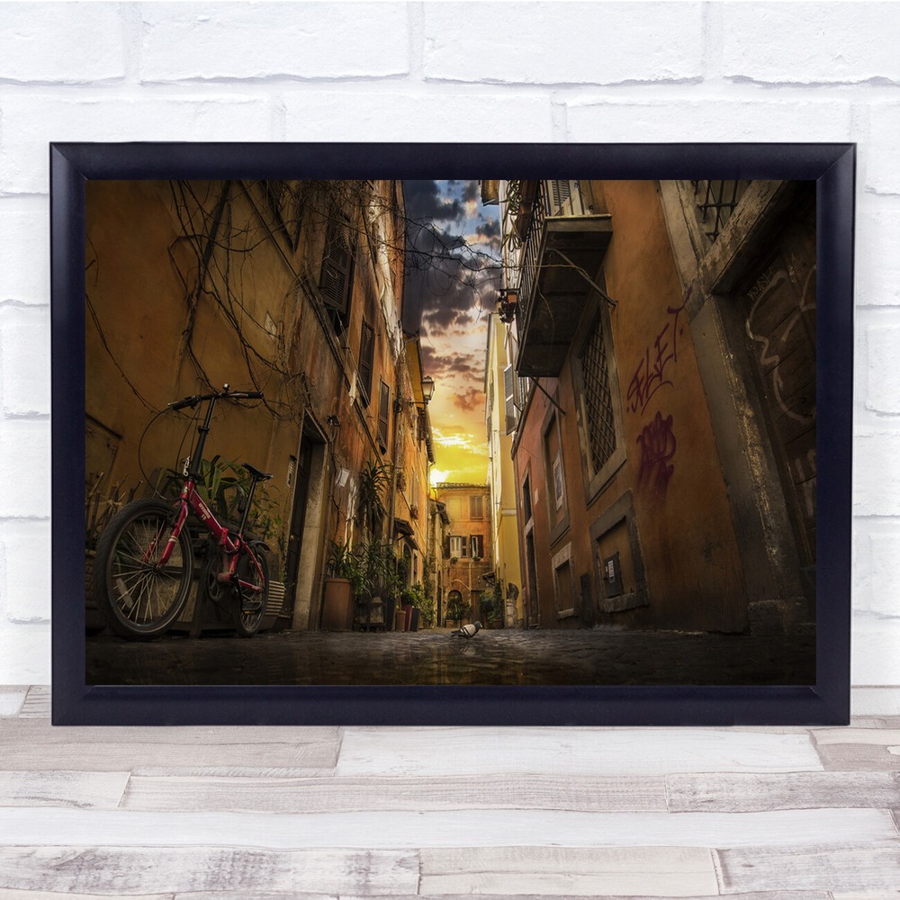 Architecture Street Pigeon Bicycle Balconies Wall Art Print