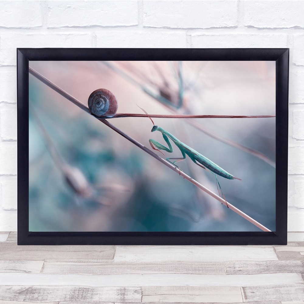 Mantis pretty soft pastel branch snail Wall Art Print
