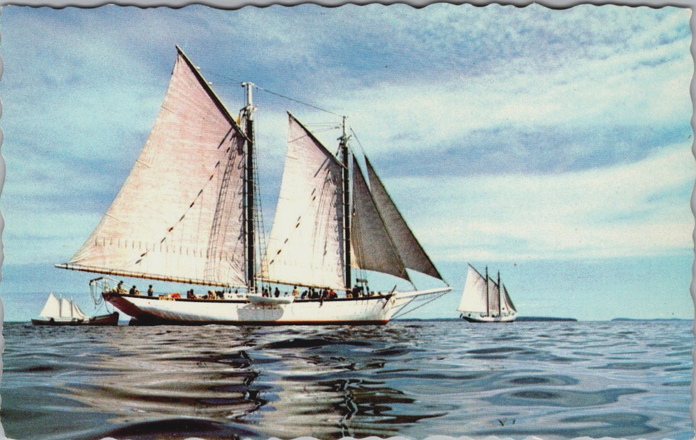Schooner MARY DAY at Full Sail Maine Postcard Coastal Vacation Cruises