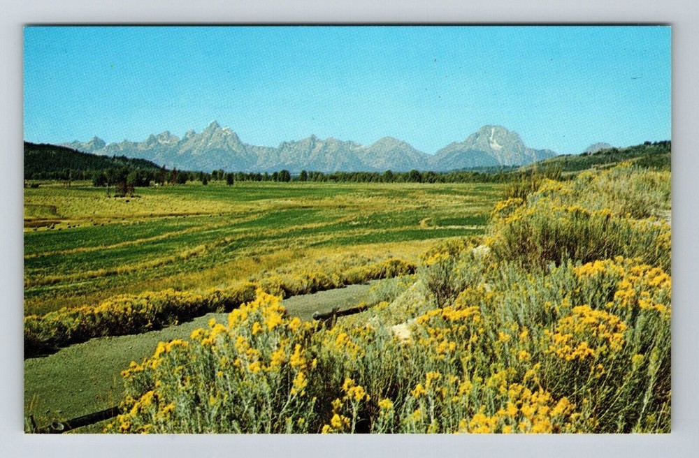 Lander WY-Wyoming, Grand Teton Range, Scenic Exterior, Vintage Postcard