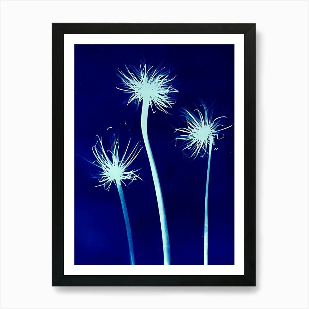 Dandelion 3 Art Print Framed Wall Art Poster Canvas Print Picture