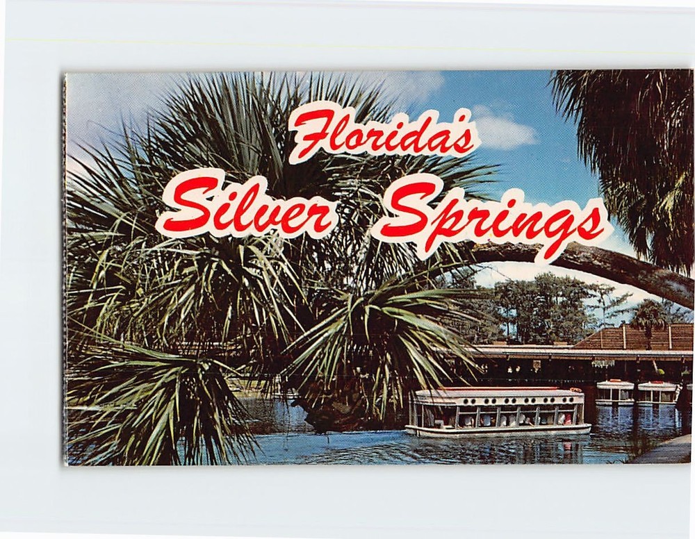 Postcard Glass Bottom Boats Silver Springs Florida USA