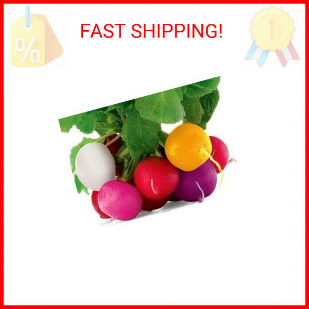 Colorful Radish Seed Mix Easy to Grow Vegetable Garden Seeds for Planting 100 Se