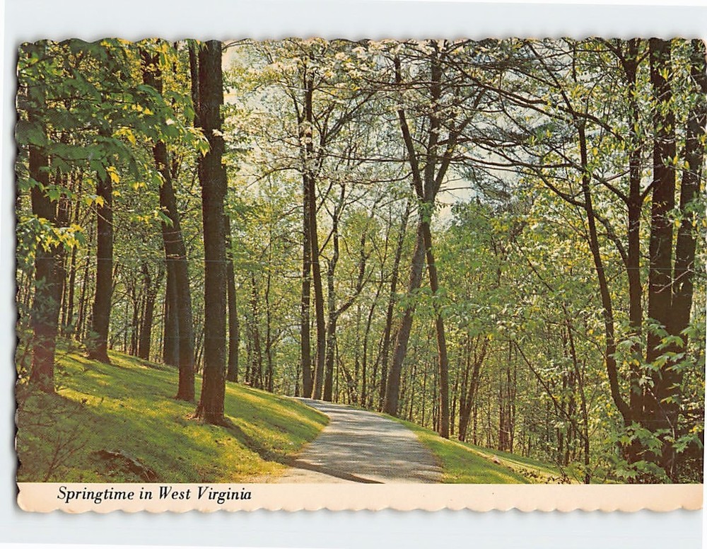 Postcard Hawks Nest State Park Ansted West Virginia USA