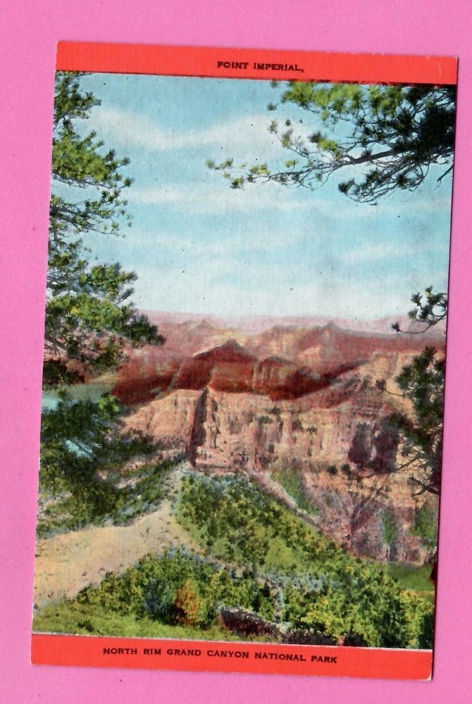 North Rim Grand Canyon National Park Vintage Pc. 810