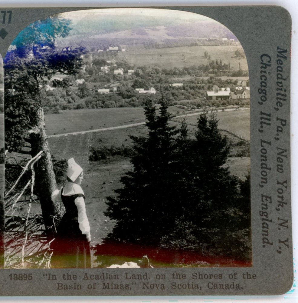 In the Acadian Land Basin of Minas NS Canada Keystone Stereoview
