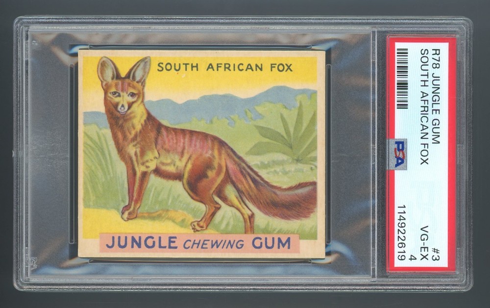 1933 R78 Jungle Gum #3 South African Fox PSA 4 VG-EX #114922619