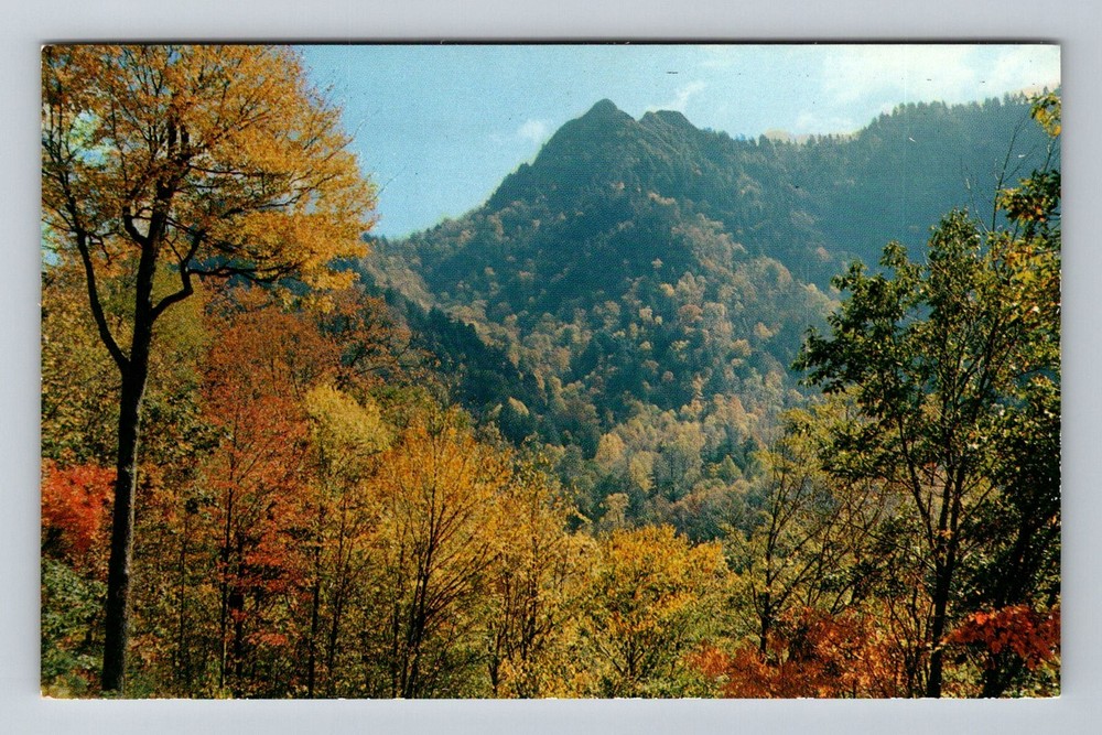 Great Smoky Mountains, TN-Tennessee, Chimney Tops Fall Colors Vintage Postcard