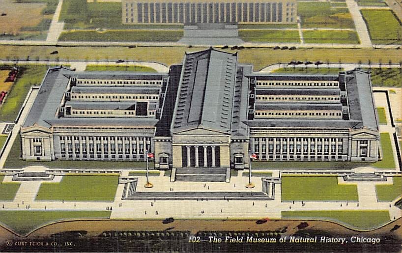 Postcard IL: Field Museum of Natural History, Chicago, Illinois, Vintage Linen