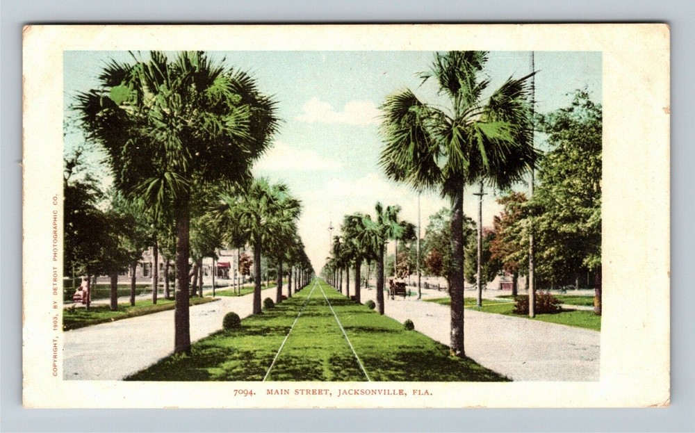 Jacksonville FL-Florida, Palm Lined Main Street, Horse Wagon Vintage Postcard