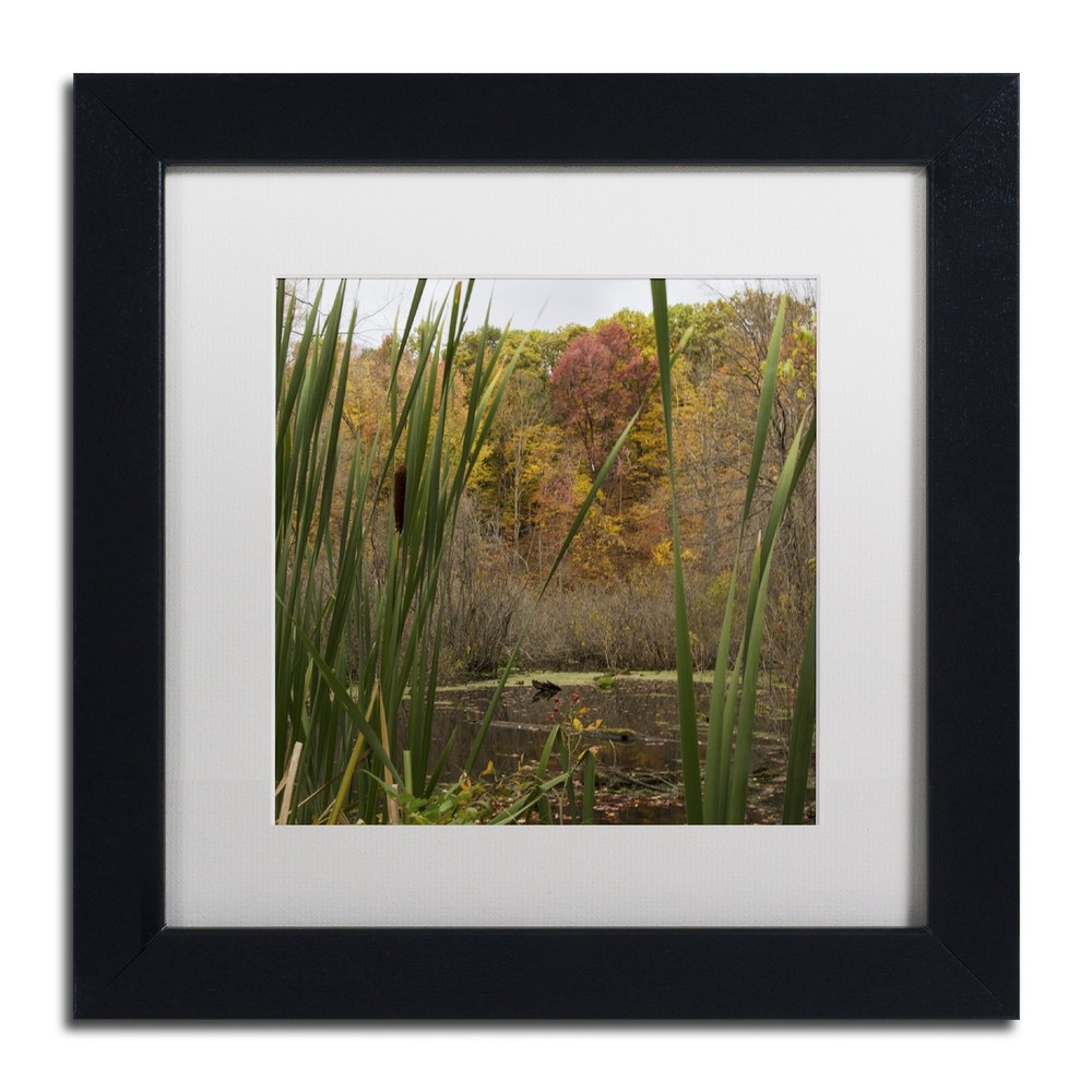 Autumn Marsh Wall Decor by Kurt Shaffer, 11
