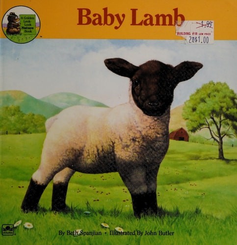 Baby Lamb (Look Look Nature Book) by Butler, John, Good Book