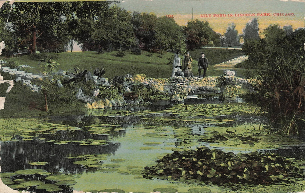 1910s Lily Pond In Lincoln Park Chicago Illinois Posted Postcard (*Flawed)