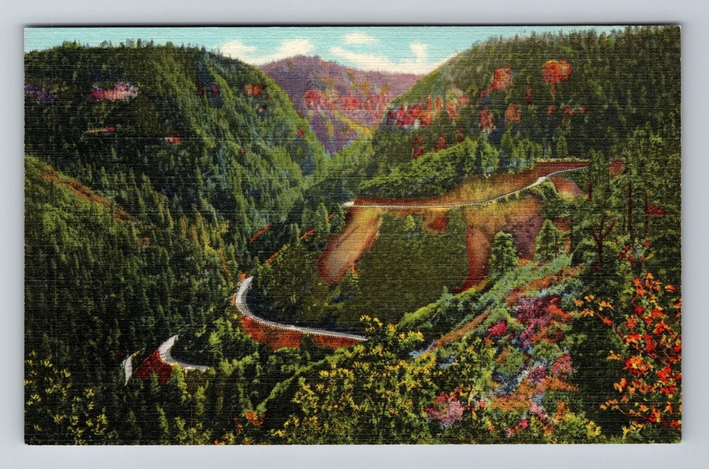 Oak Creek Canyon AZ-Arizona Scenic View Vintage Postcard