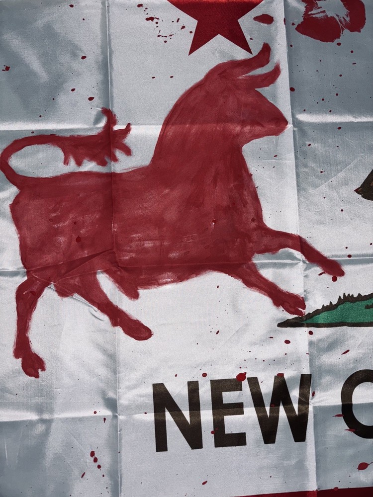 Fallout New Vegas: NCR Flag (Vandalized By Legion)