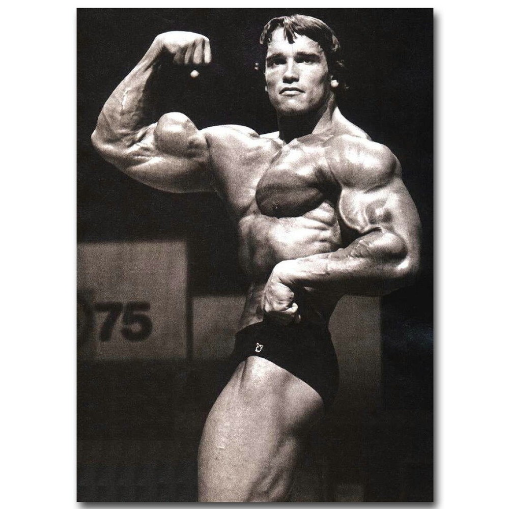 75015 Arnold Schwarzenegger Bodybuilder Mr Olympic Wall Print Poster US